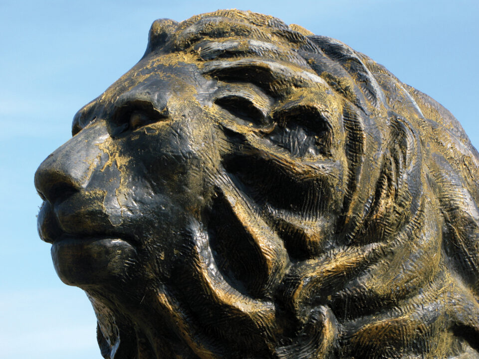 aslan, meydan, peyzaj, galatasaray